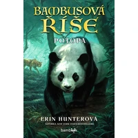 Bambusová říše – Potopa - E-kniha