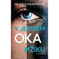 V jediném okamžiku - E-kniha