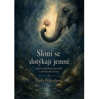 Sloni se dotýkají jemně - E-kniha
