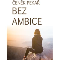Bez ambice - E-kniha
