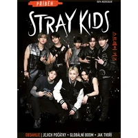 Příběh Stray Kids - E-kniha