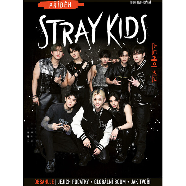 Příběh Stray Kids