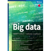 Big data - E-kniha
