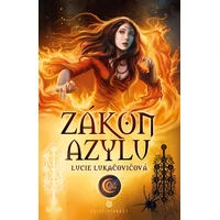 Zákon azylu - E-kniha