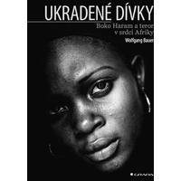 Ukradené dívky - E-kniha