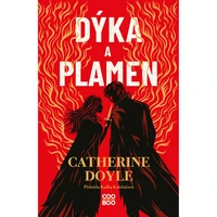 Dýka a plamen - E-kniha