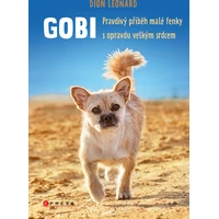 Gobi - E-kniha