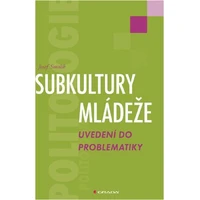 Subkultury mládeže - E-kniha