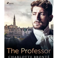 The Professor - E-kniha