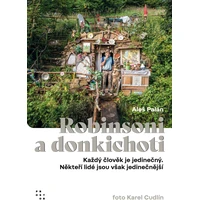 Robinsoni a donkichoti - E-kniha