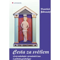 Cesta za světlem - E-kniha