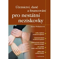 Účetnictví, daně a financování pro nestátní neziskovky - E-kniha