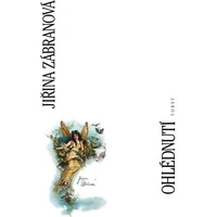 Ohlédnutí - E-kniha