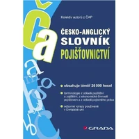 Česko-anglický slovník pojišťovnictví - E-kniha