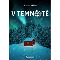 V temnotě - E-kniha