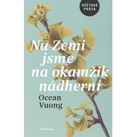 Na Zemi jsme na okamžik nádherní - E-kniha