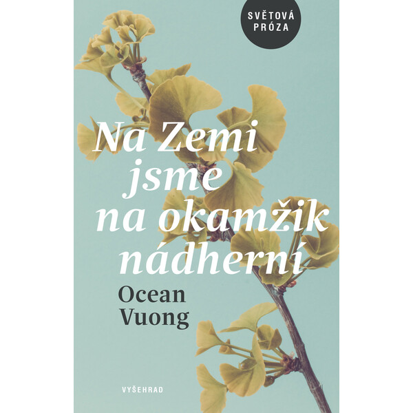 Na Zemi jsme na okamžik nádherní