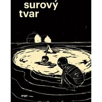 Surový tvar - E-kniha