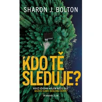 Kdo tě sleduje? - E-kniha