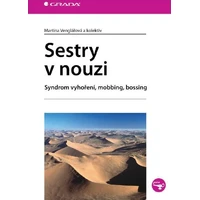 Sestry v nouzi - E-kniha