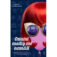 Ostatní matky mě nesnáší - E-kniha
