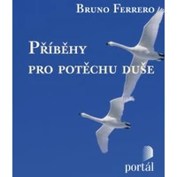 Příběhy pro potěchu duše - E-kniha