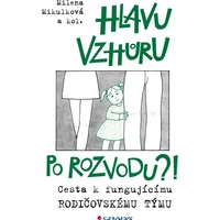 Hlavu vzhůru po rozvodu?! - E-kniha