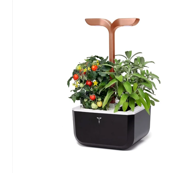 Véritable Exky SMART automatický květináč s regulací osvětlení (2ks Lingot) černý - Květináče - Obrázek d659e8594db54fba890e7bc2b7a48ad5
