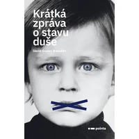 Krátká zpráva o stavu duše - E-kniha