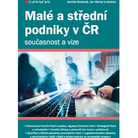 Malé a střední podniky v ČR – současnost a vize - E-kniha