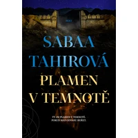 Plamen v temnotě - E-kniha