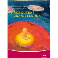 Probouzení zranitelnosti - E-kniha