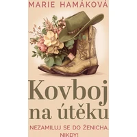Kovboj na útěku - E-kniha