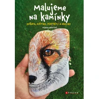 Malujeme na kamínky - E-kniha