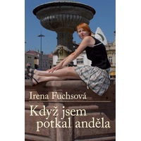 Když jsem potkal anděla - E-kniha