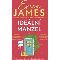 Ideální manžel - E-kniha