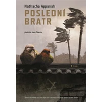 Poslední bratr - E-kniha