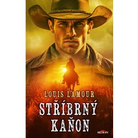 Stříbrný kaňon - E-kniha