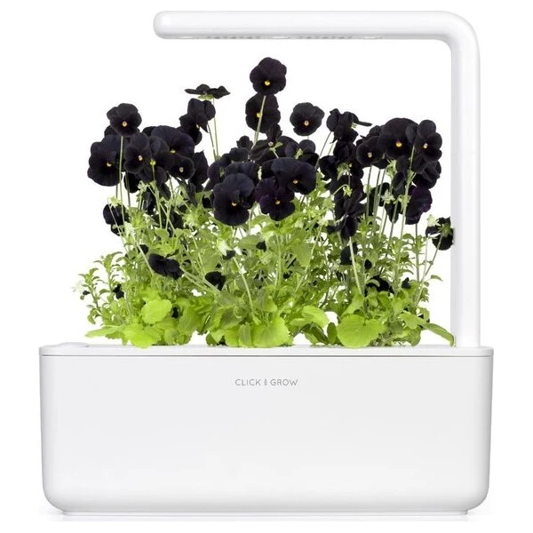 Click and Grow Černá maceška, kapsle se semínky a substrátem 3ks - Sazenice - Obrázek d_0058ccb8053b4cf58195da408f916959