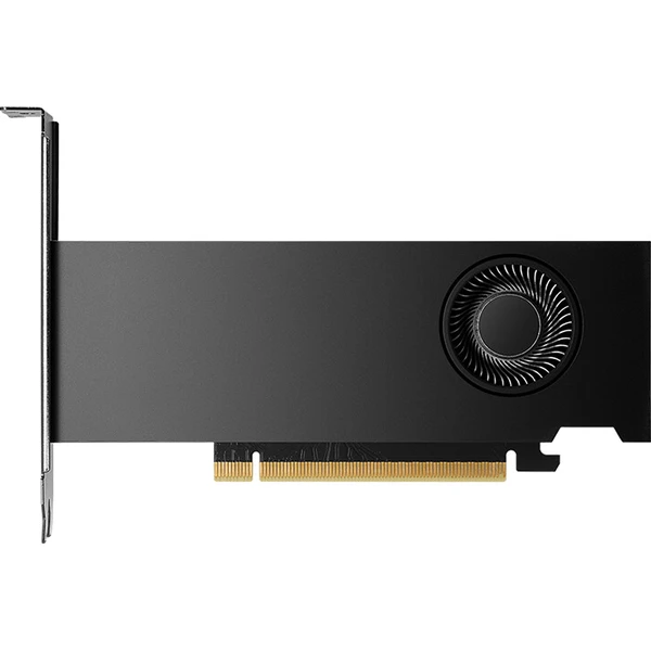 PNY NVIDIA RTX 2000 Ada Generation 16GB GDDR6 LowProfile - Grafické karty - Obrázek d_02f9a15b3d2448e59a4e47c0c25208fd