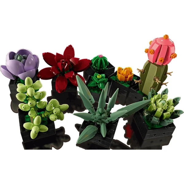 LEGO Botanicals 10309 Sukulenty - LEGO - Obrázek d_054310a6d8434c78b3bf9d54442d575f