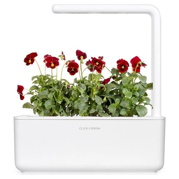 Click and Grow Maceška červená, kapsle se semínky a substrátem 3ks - Sazenice - Obrázek d_0f85e0dbede14f8398e421147c645240