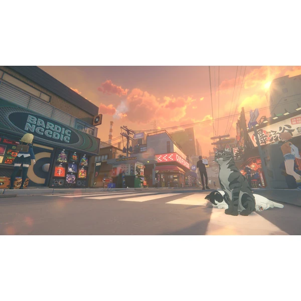 Zenless Zone Zero Collector's Edition (PS5) - Hry pro PS5 - Obrázek d_10c9189073c141e8b84458502da34050