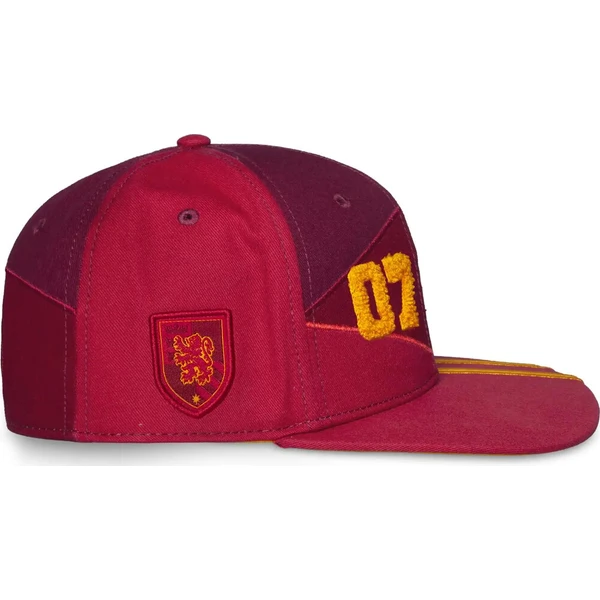 Kšiltovka Harry Potter - Quidditch - Kšiltovky a čepice - Obrázek d_13ceee17d7664e409882fd99e13858bf