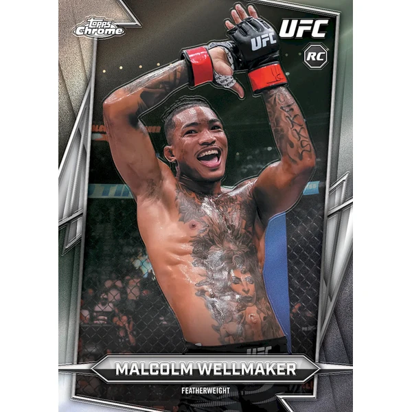 Dárek ke hře EA Sports UFC 6 - sběratelské karty - Dárky - Obrázek d_16b421efc41d47189bc6047751e7da0b