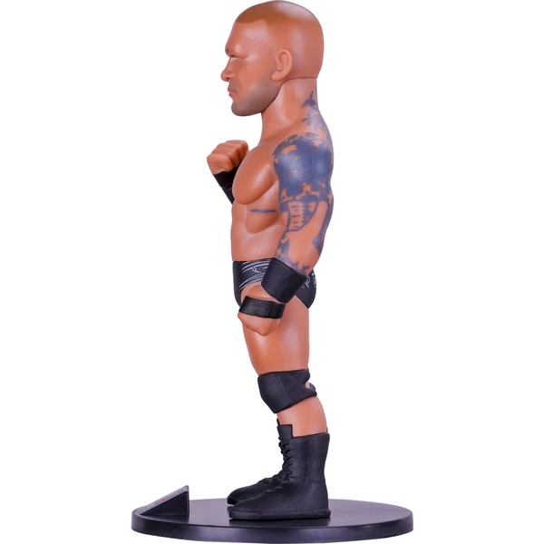 MINIX #126 Sport: WWE - Randy Orton - Minix - Obrázek d_1b58f74403d94d8db5ccfd9c6b458a8b