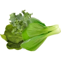 Click and Grow Mix asijské kuchyně, kapsle se semínky a substrátem 9ks - Sazenice