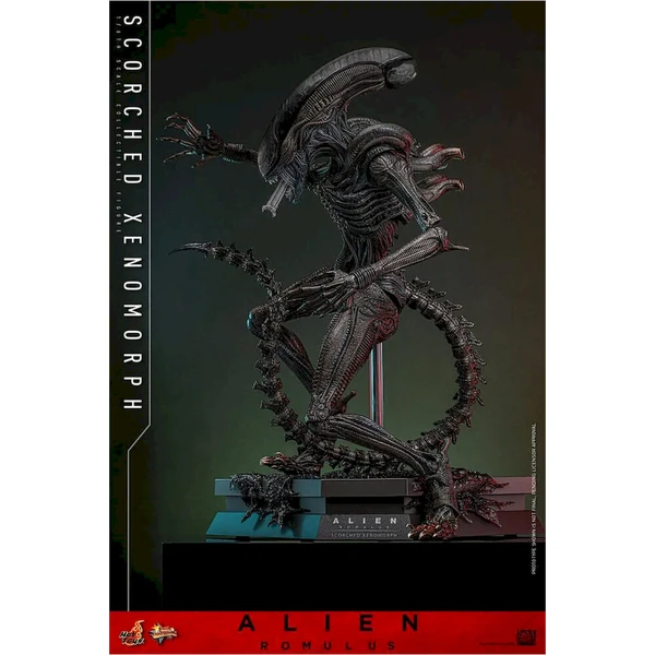 Soška Hot Toys Alien: Romulus Movie Masterpiece Action Figure 1/6 Scorched Xenomorph 44 cm - Sochy a sošky - Obrázek d_20c96767141e4531966ad83c36185822