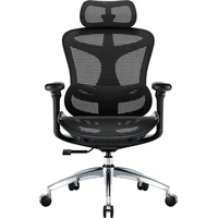 SIHOO Doro C300L židle černá - Židle