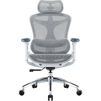 SIHOO Doro C300L židle bílá - Židle